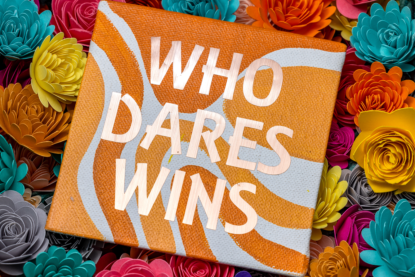 ADC - Who Dares Wins