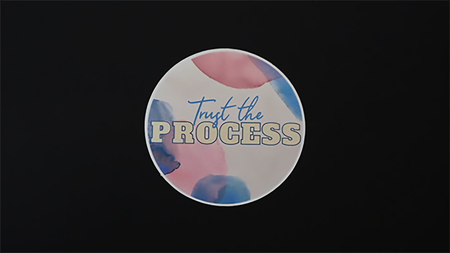 Trust the Process Sticker